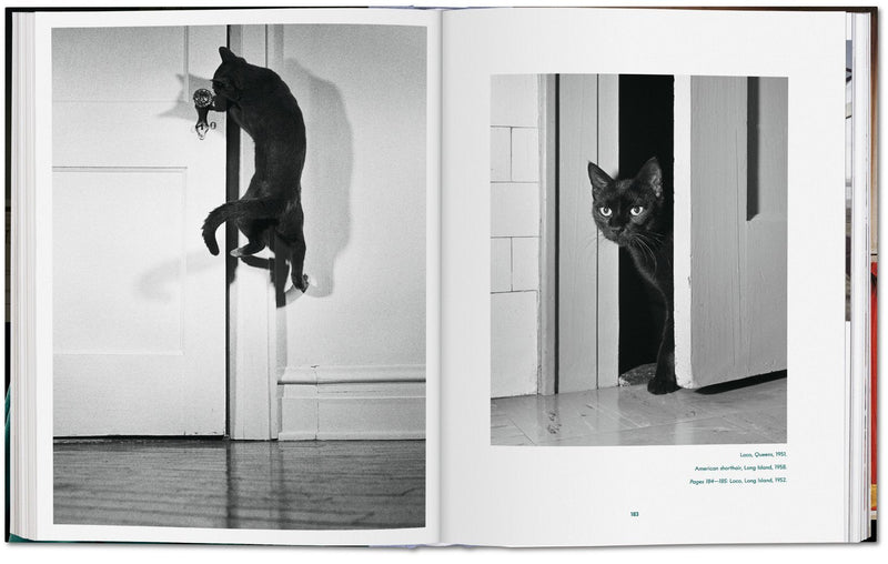 Walter Chandoha. Cats. Photographs 1942–2018 DEIMOTIV