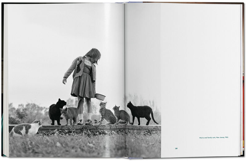 Walter Chandoha. Cats. Photographs 1942–2018 DEIMOTIV