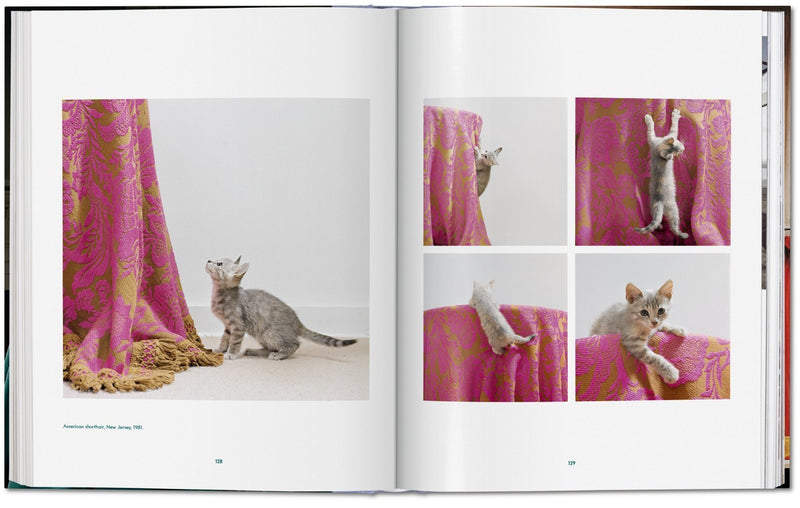 Walter Chandoha. Cats. Photographs 1942–2018 DEIMOTIV