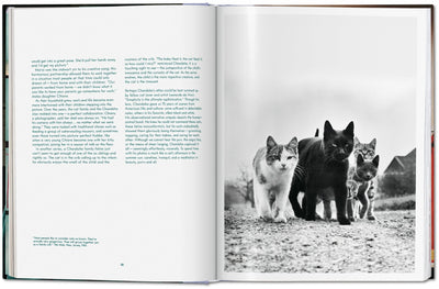 Walter Chandoha. Cats. Photographs 1942–2018 DEIMOTIV