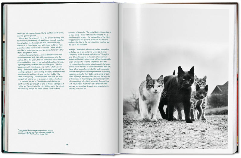 Walter Chandoha. Cats. Photographs 1942–2018 DEIMOTIV