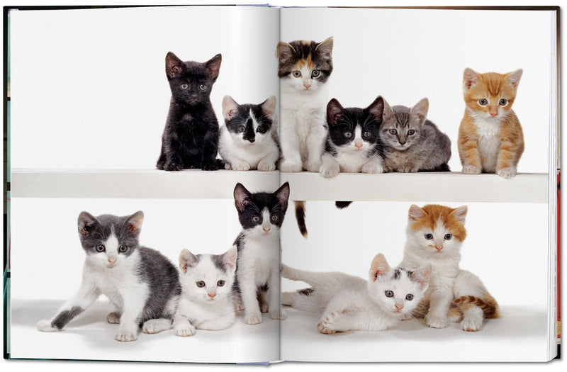 Walter Chandoha. Cats. Photographs 1942–2018 DEIMOTIV